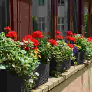 Hotel Aquino Berlin, 4 of 5