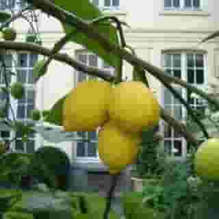 Verhaegen Chambres D'Hotes, 2 of 5