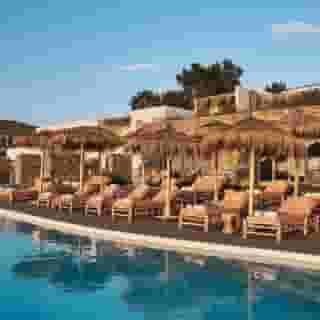 The Wild By Interni, 4 of 5