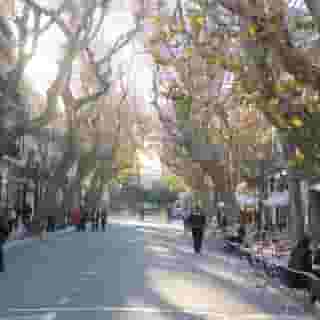 Adsubia, 3 of 5