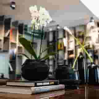 Sir Savigny Hotel, part of Sircle Collection, 5 of 5