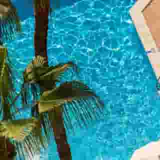 htop Amaika - Adults Only, 2 of 5