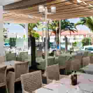 Tinerfe Garden, 4 of 5