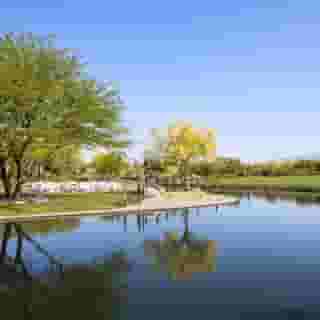 Boulders Resort & Spa Scottsdale, Curio Collection, 2 of 5