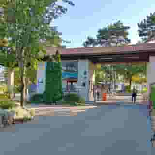 Camping Mare Pineta, 5 of 5