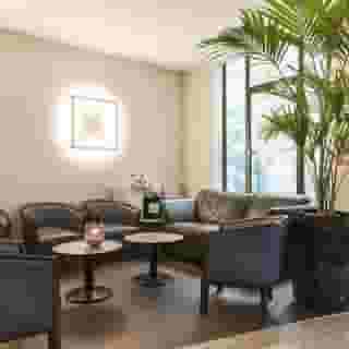 Abaca Messidor by Happyculture, 6 of 6