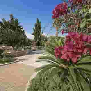 Hotel Resort Ristorante Masseria Le Pajare, 5 of 5