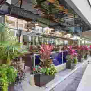 Radisson Blu Aqua Hotel, Chicago, 1 of 5