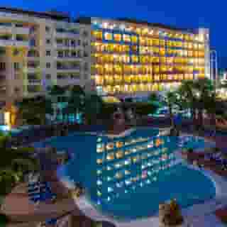 Alegria Fenix Family, 1 of 5