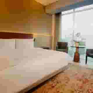 Hyatt Regency Mexico City Insurgentes, 5 of 5