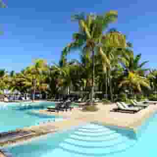 The Ravenala Attitude, 2 of 5