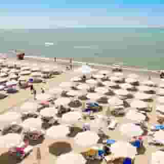 Grand Blue Fafa, 3 of 5