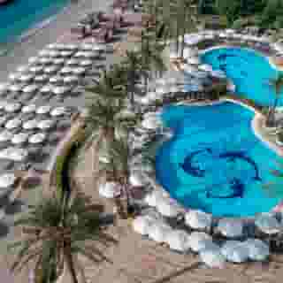 The Norm Oriental, 3 of 5