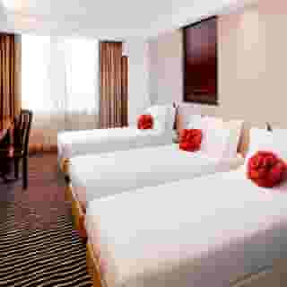 Butterfly on Wellington, 2 of 5