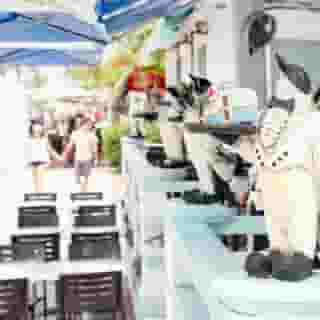 Penguin Hotel, 6 of 6