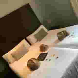 Hotel Ramblas Internacional, 6 of 6