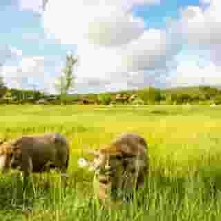 ThaiLife Homestay Resort & Spa, 6 of 6