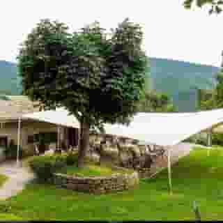 Le Silve Di Armenzano, 4 of 5