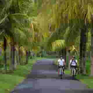 The Samaya Ubud, 3 of 5