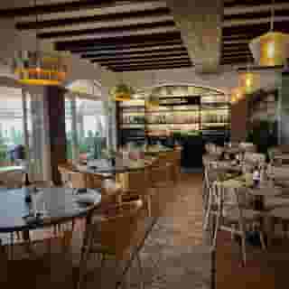 Marissal by Dorobe, 5 of 5