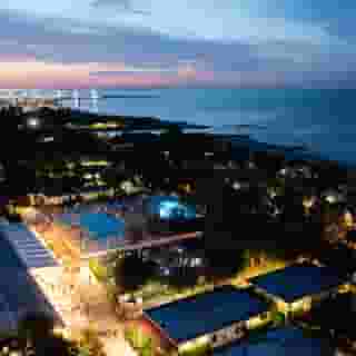 Club del Sole Stork Family Collection, 1 of 5