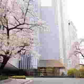 The Capitol Hotel Tokyu, 3 of 5