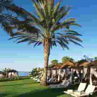 Constantinou Bros Athena Royal Beach Hotel - Adults Only, 5 of 5