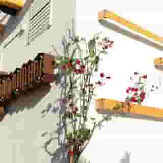54 Barceloneta, 4 of 5
