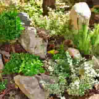 Orient Express, 2 of 5