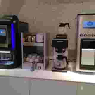 Vittoria Orlandini, 3 of 5