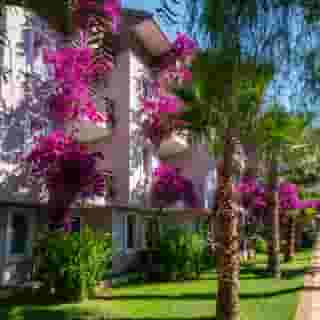 Club Dizalya, 6 of 6