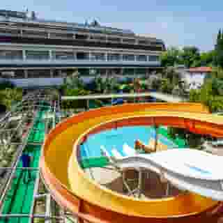 Catty Cats Garden Hotel, 2 of 5