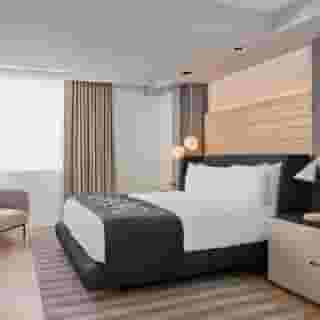 Hotel Zena Washington DC, 6 of 6