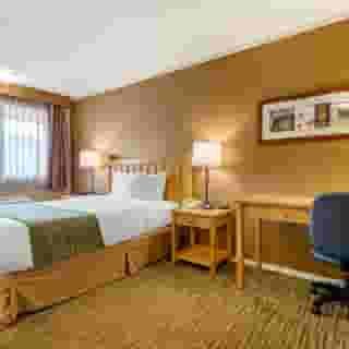 Econo Lodge Inn & Suites N. Vancouver, 2 of 5