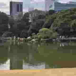 Tokyu Stay Yoga, 4 of 5