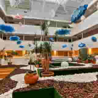 Carine Hotel Delfin, 5 of 5