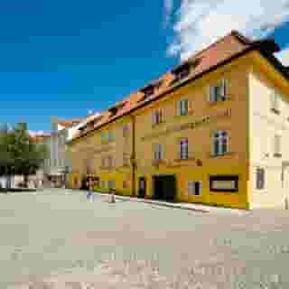 Archibald at the Charles Bridge, 1 of 5