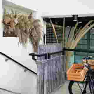 Wren Urban Nest, 4 of 5