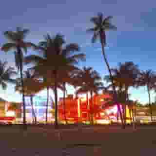 Nine20 Collins, 3 of 5