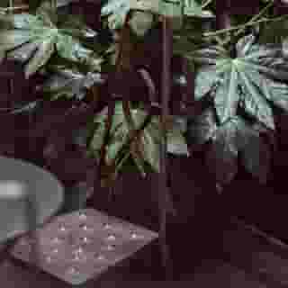 Academies et des Arts, 5 of 5