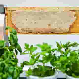 Friday Hotel, 3 of 5