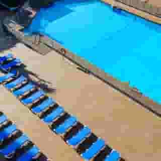 Monarque Cendrillon, 5 of 5