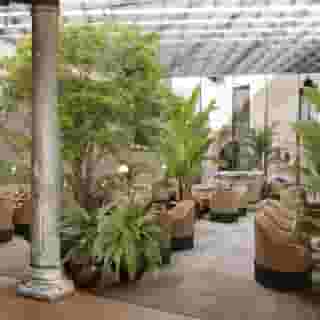 Gabrielli Sandwirth, 4 of 5