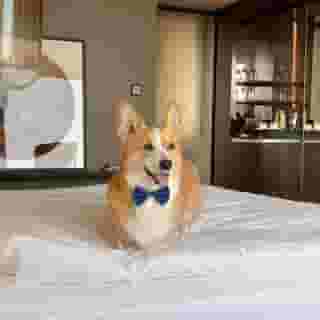 InterContinental Ljubljana, 1 of 5