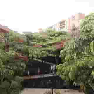 Hotel Las Olas, 5 of 5