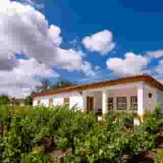 Vila Gale Alentejo Vineyards (Clube de Campo), 1 of 5