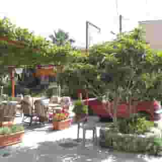 Zorbas Apartments and Studios, 6 of 6