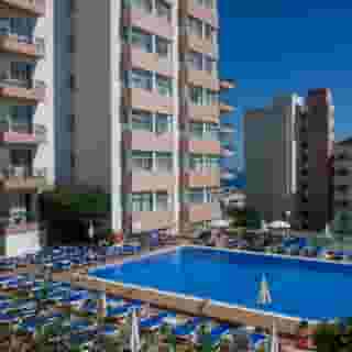 Dorisol Mimosa, 4 of 5