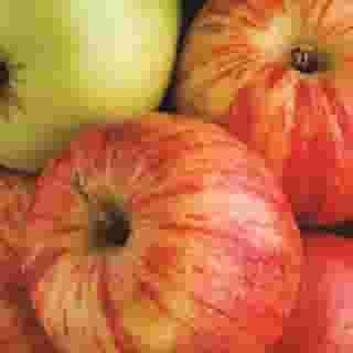 La Quinta Inn & Suites Houston Hobby Airport, 1 of 5