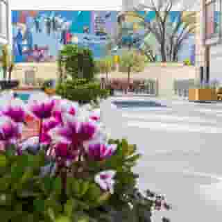 DoubleTree by Hilton Milan, 2 of 5